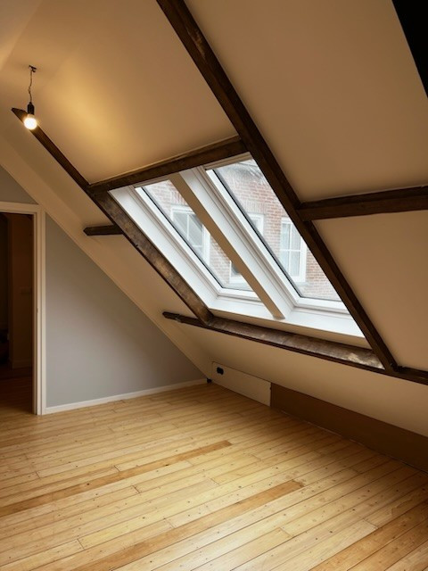 velux-afgetimmerd-foto-2